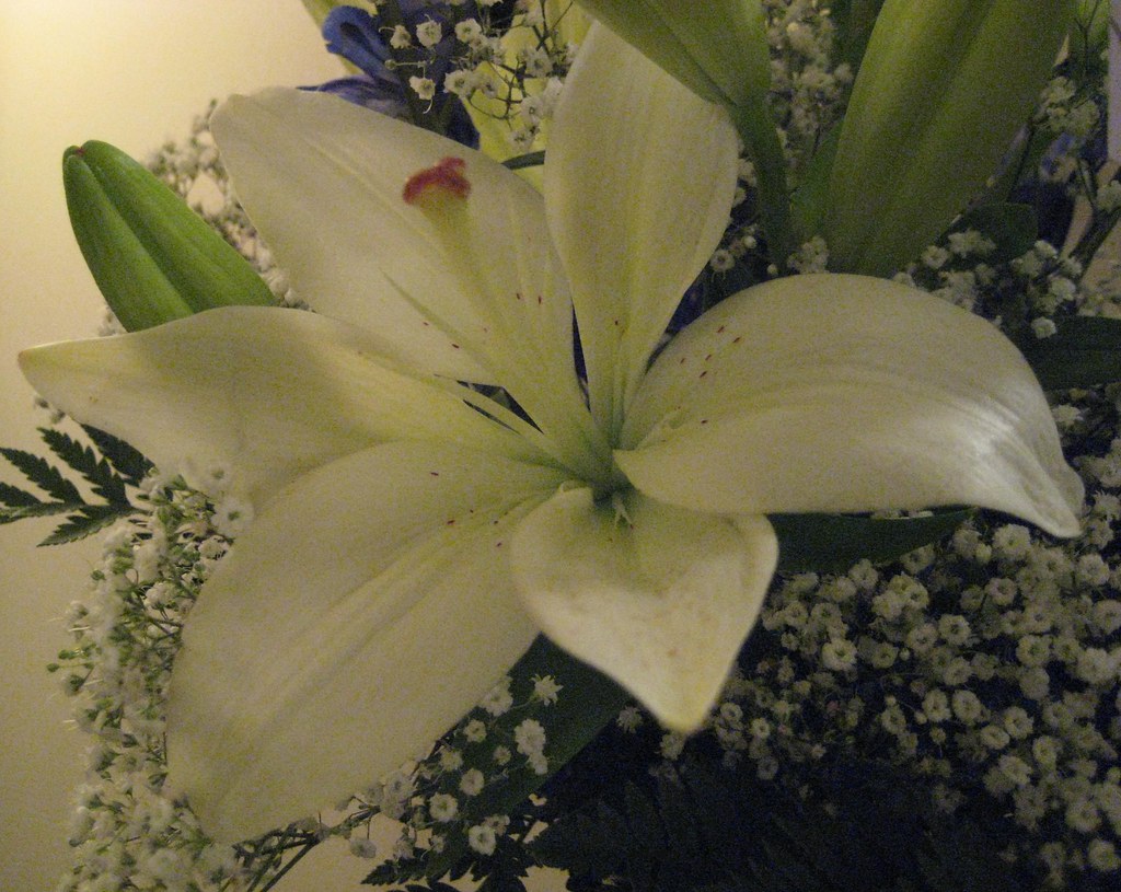 Deuil & hommages